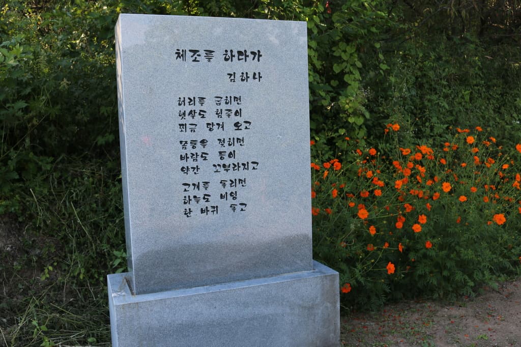 10-003.jpg