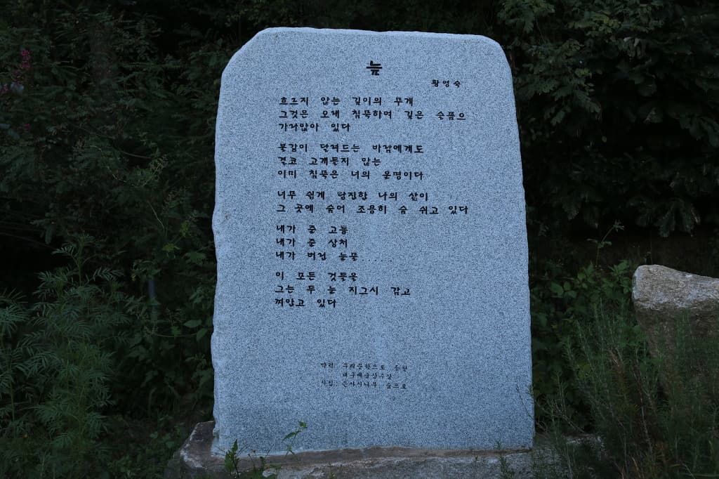 11-002.jpg