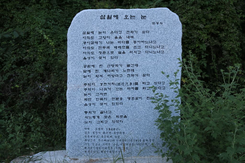 11-003.jpg