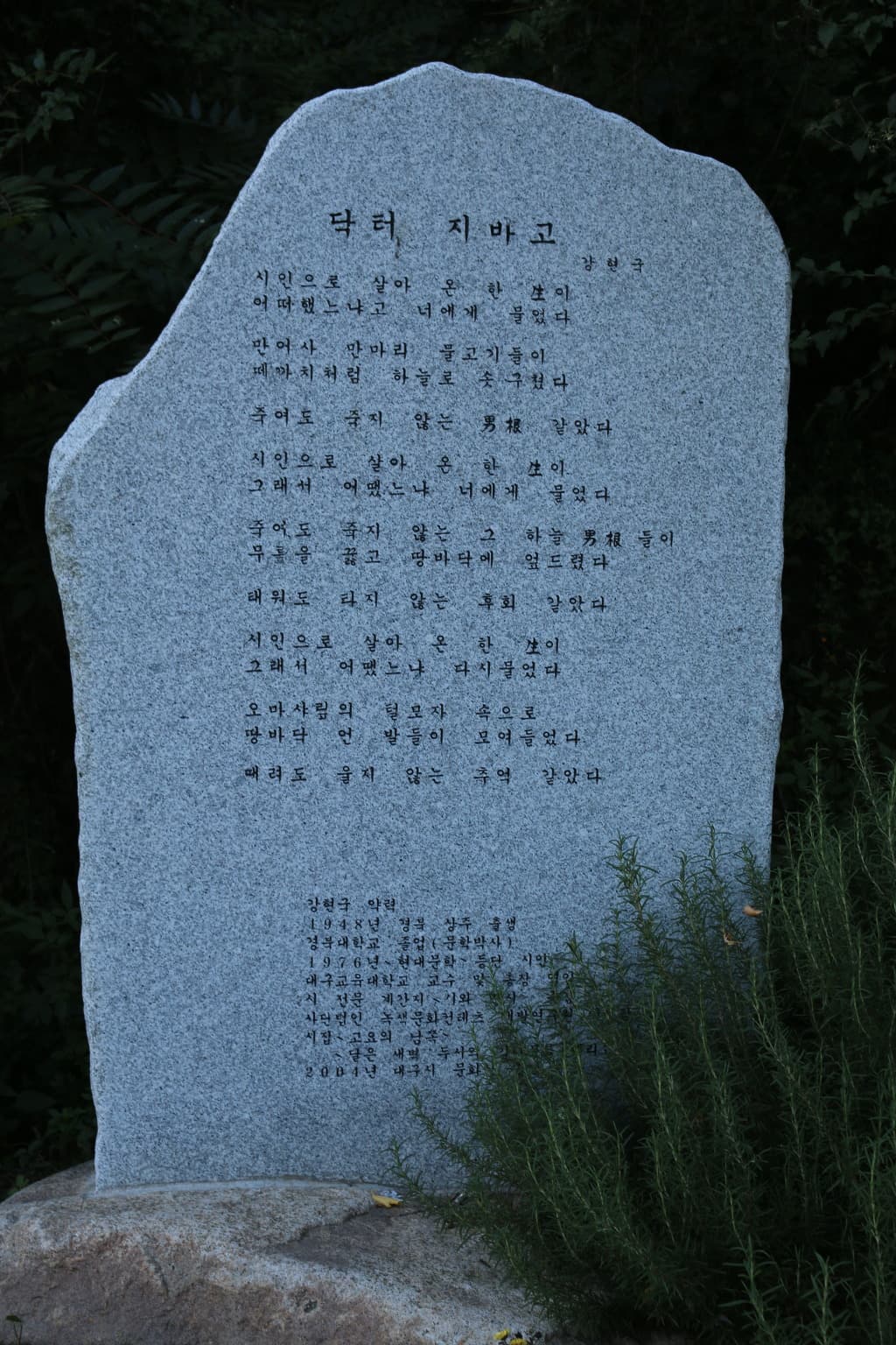 17-003.jpg