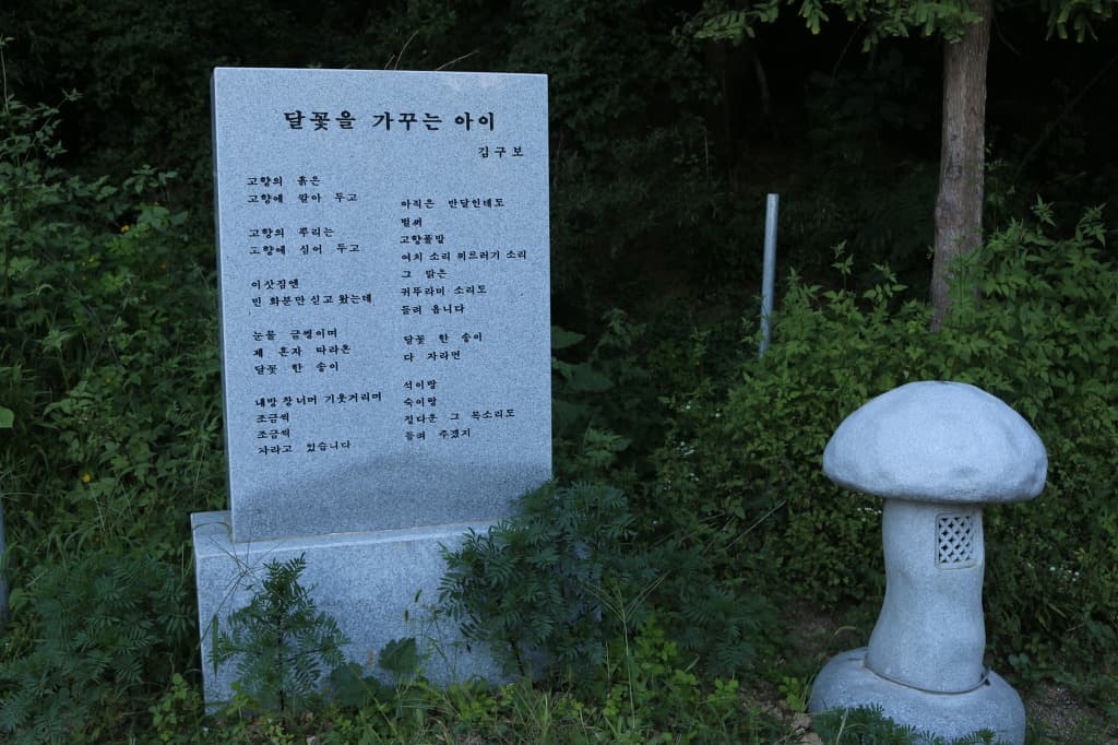 20-003.jpg