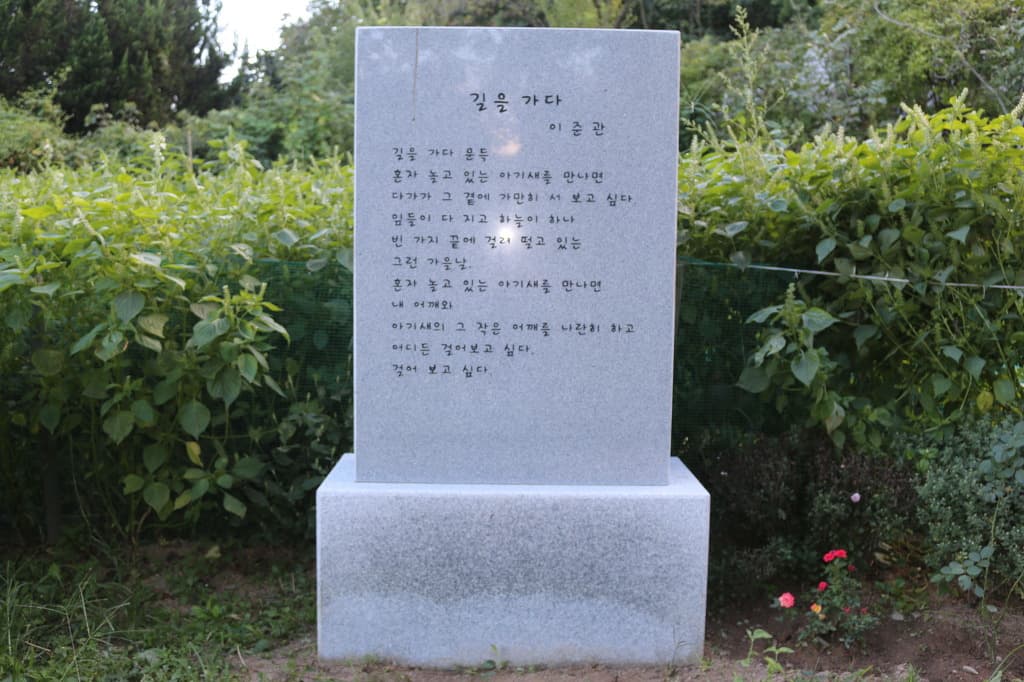 22-003.jpg