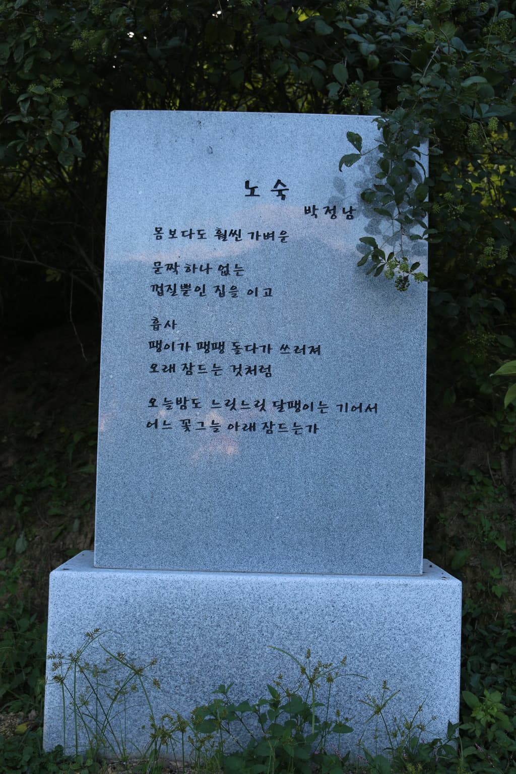 22-004.jpg