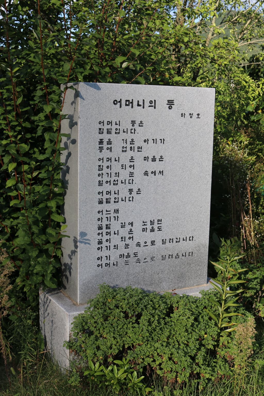 23-001.jpg