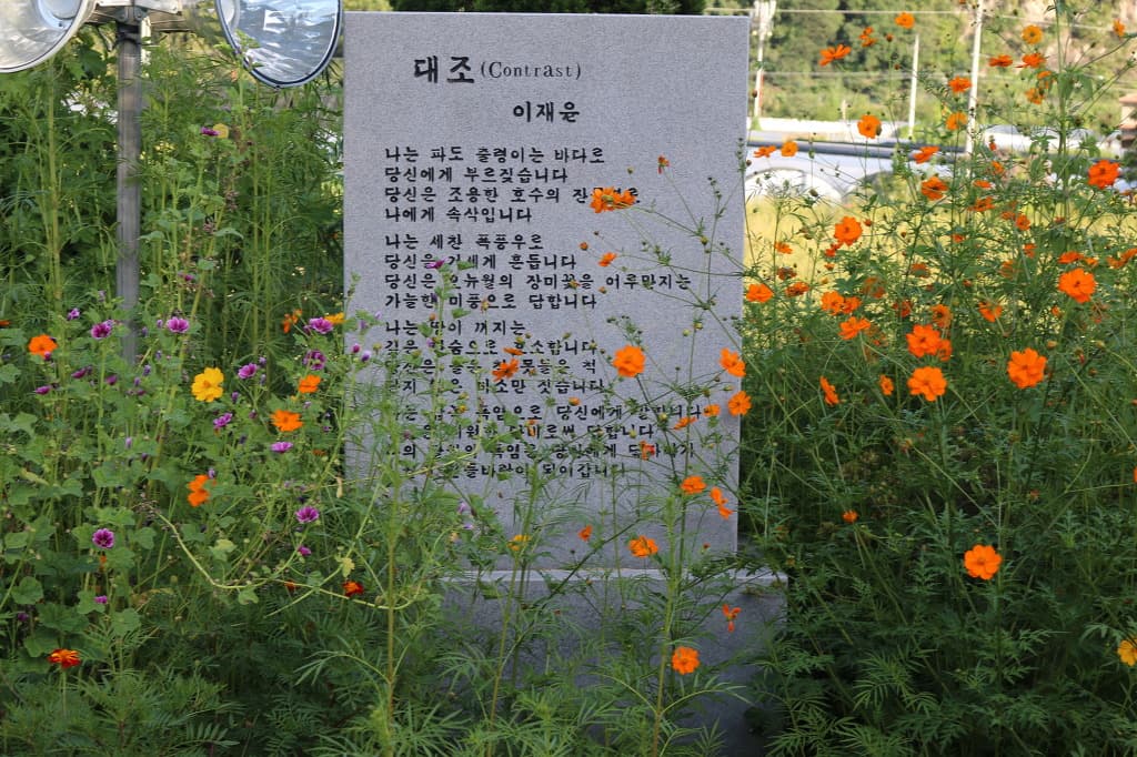 23-003.jpg
