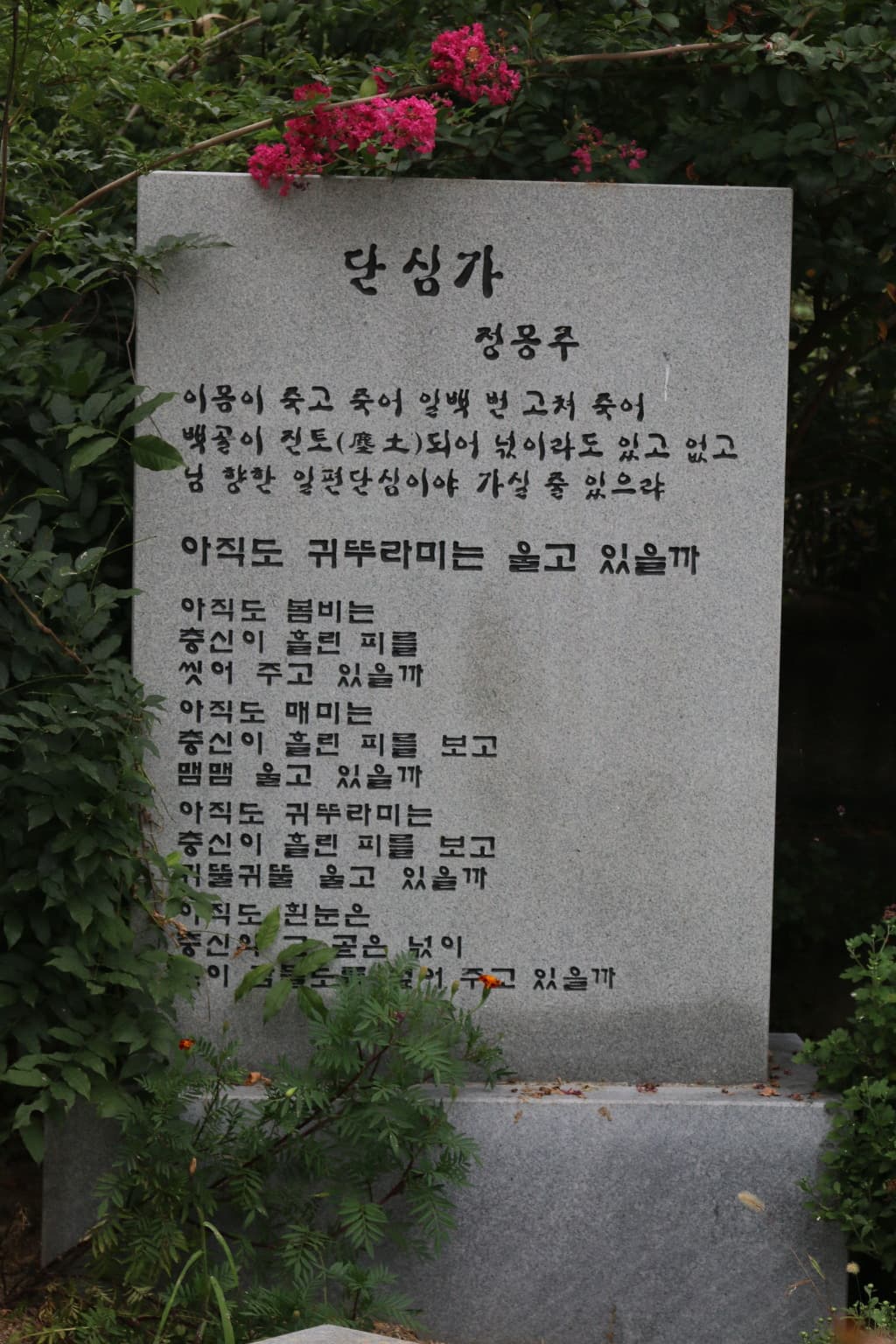 39-003.jpg