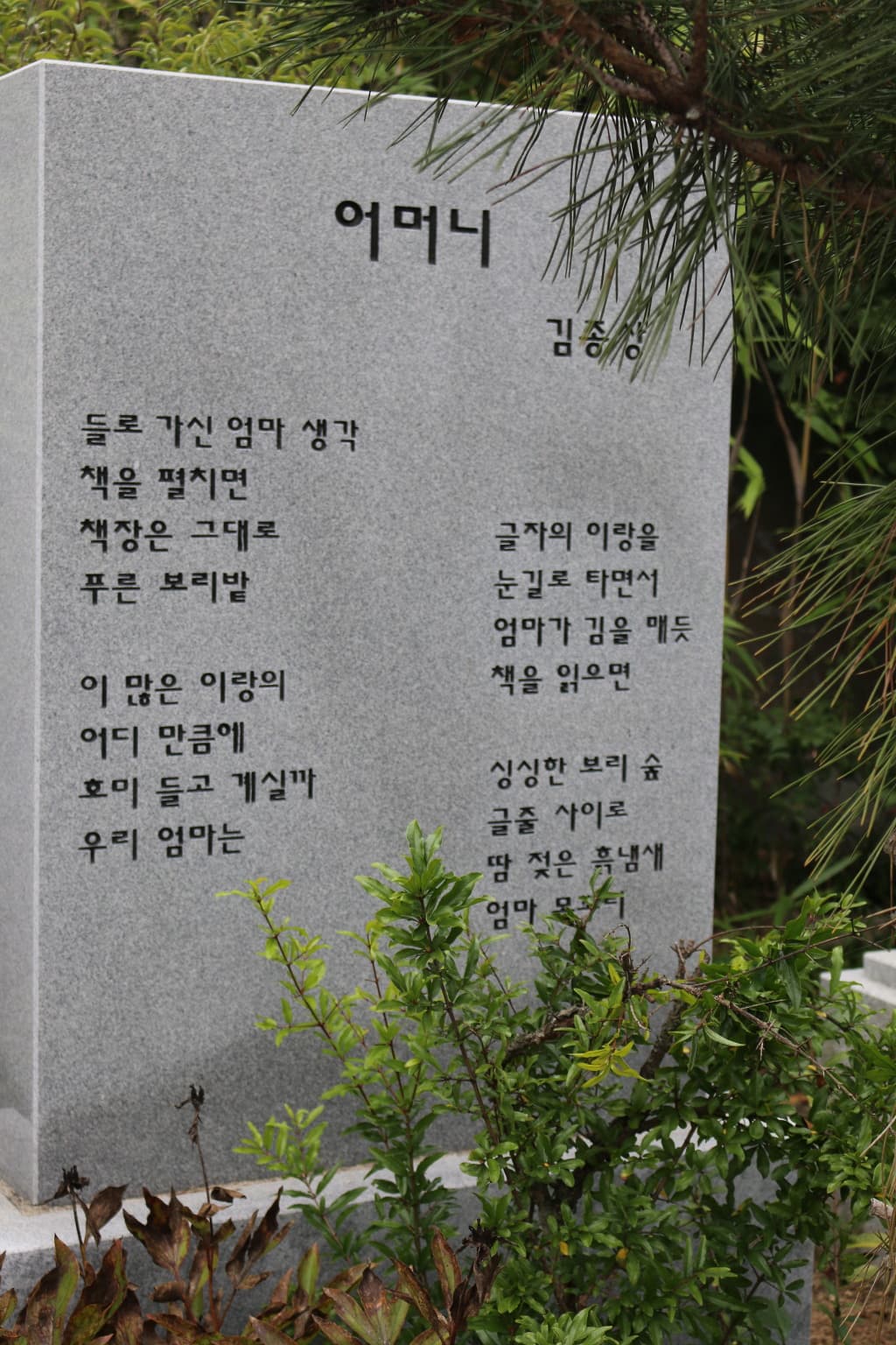 40-006.jpg