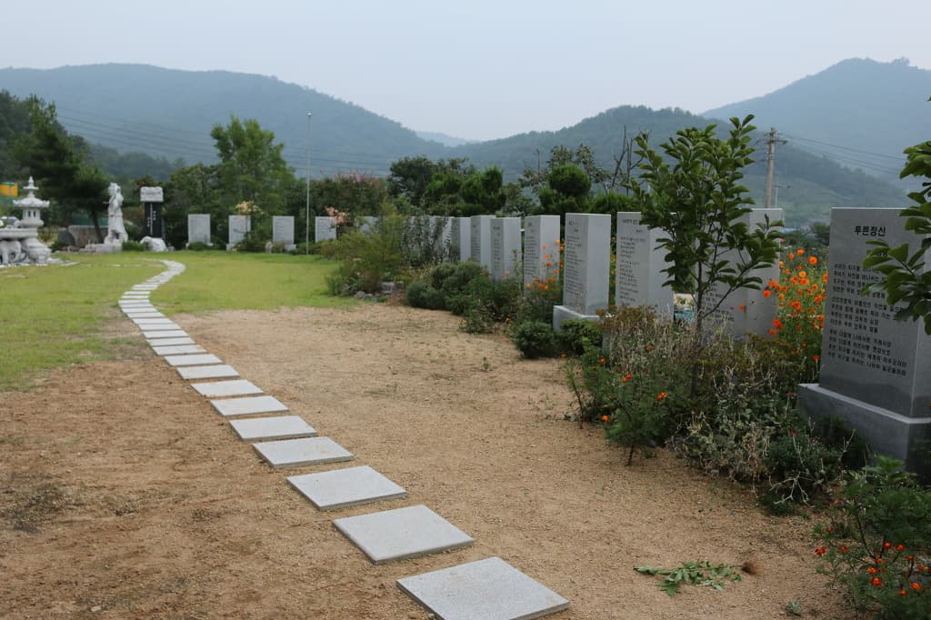 41-005.jpg