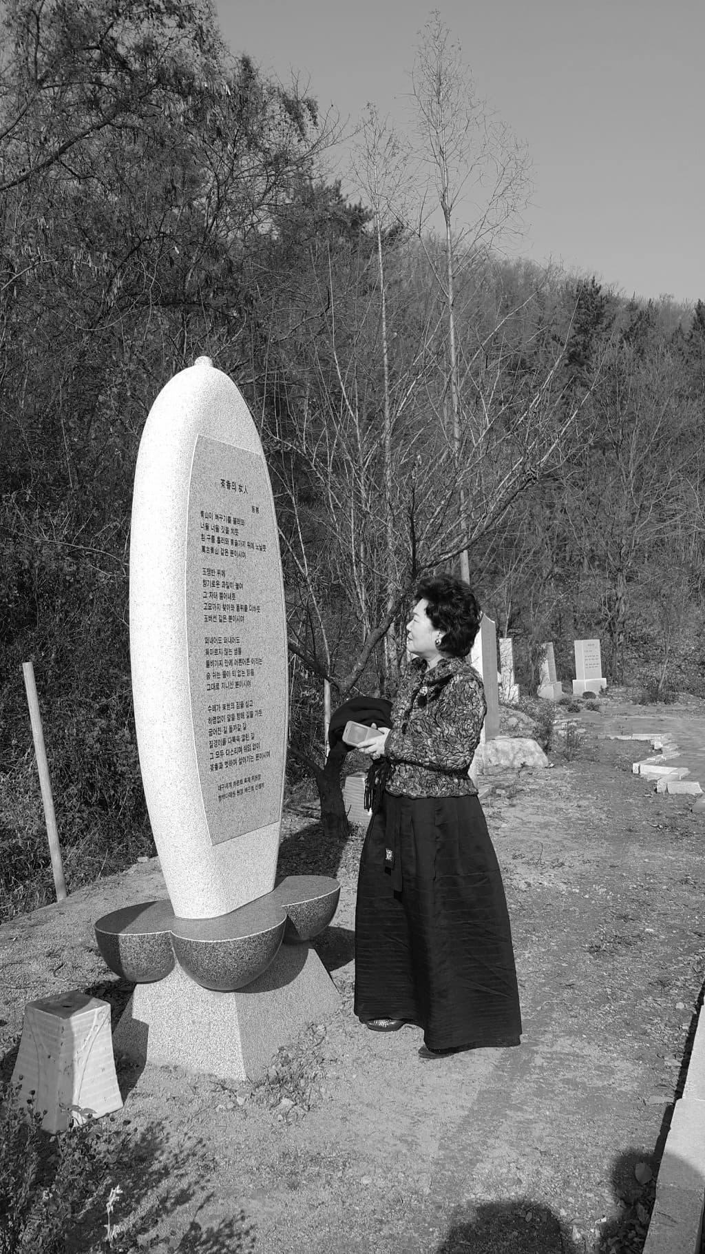 81-006.jpg