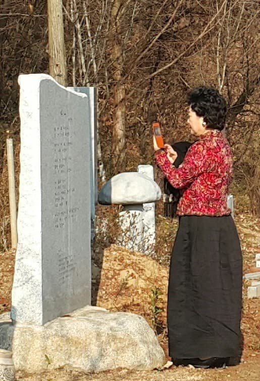 81-015.jpg