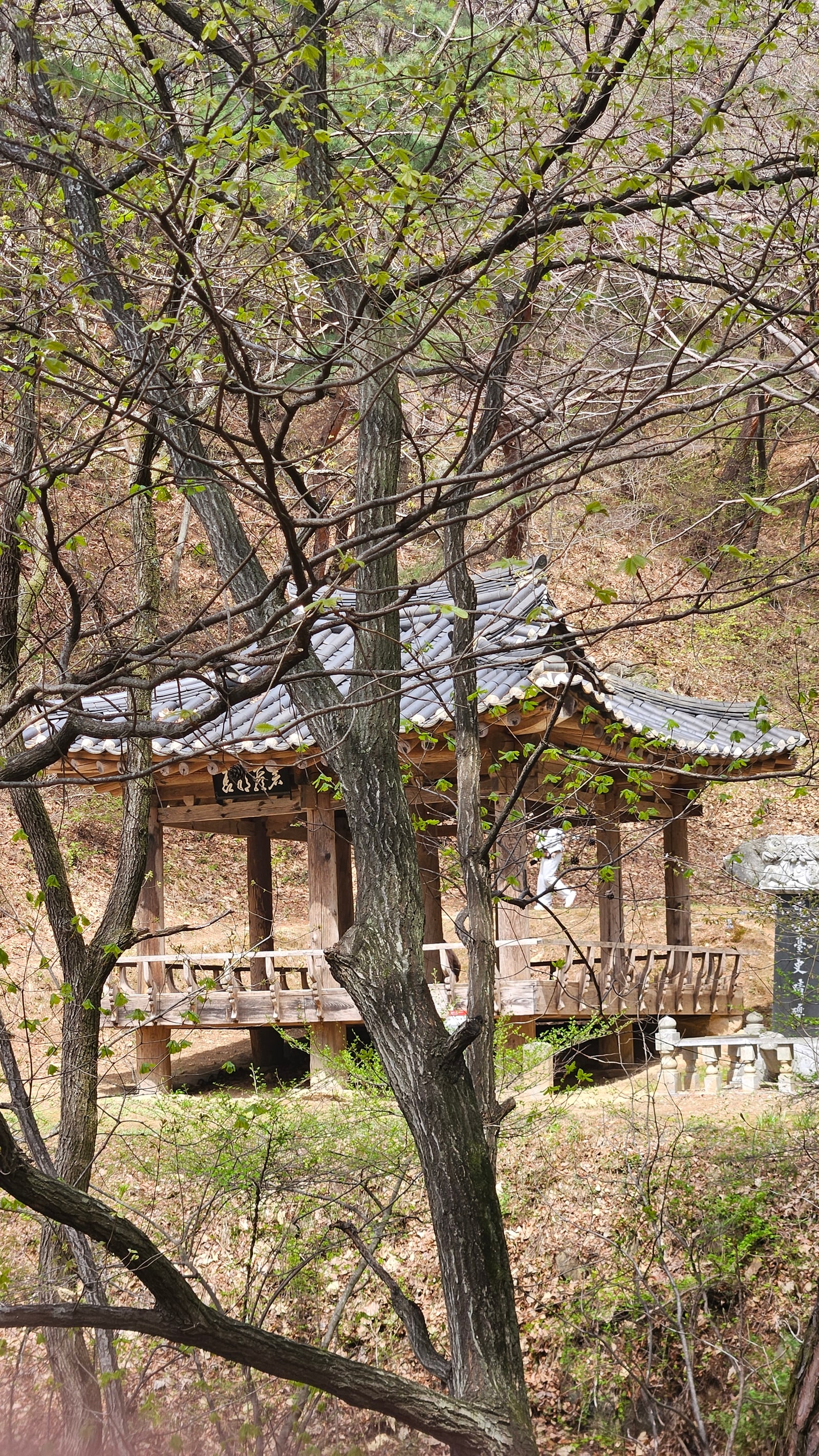 안동 봉정사로 들어가는 산길, 나무 사이로 보이는 한옥 정자