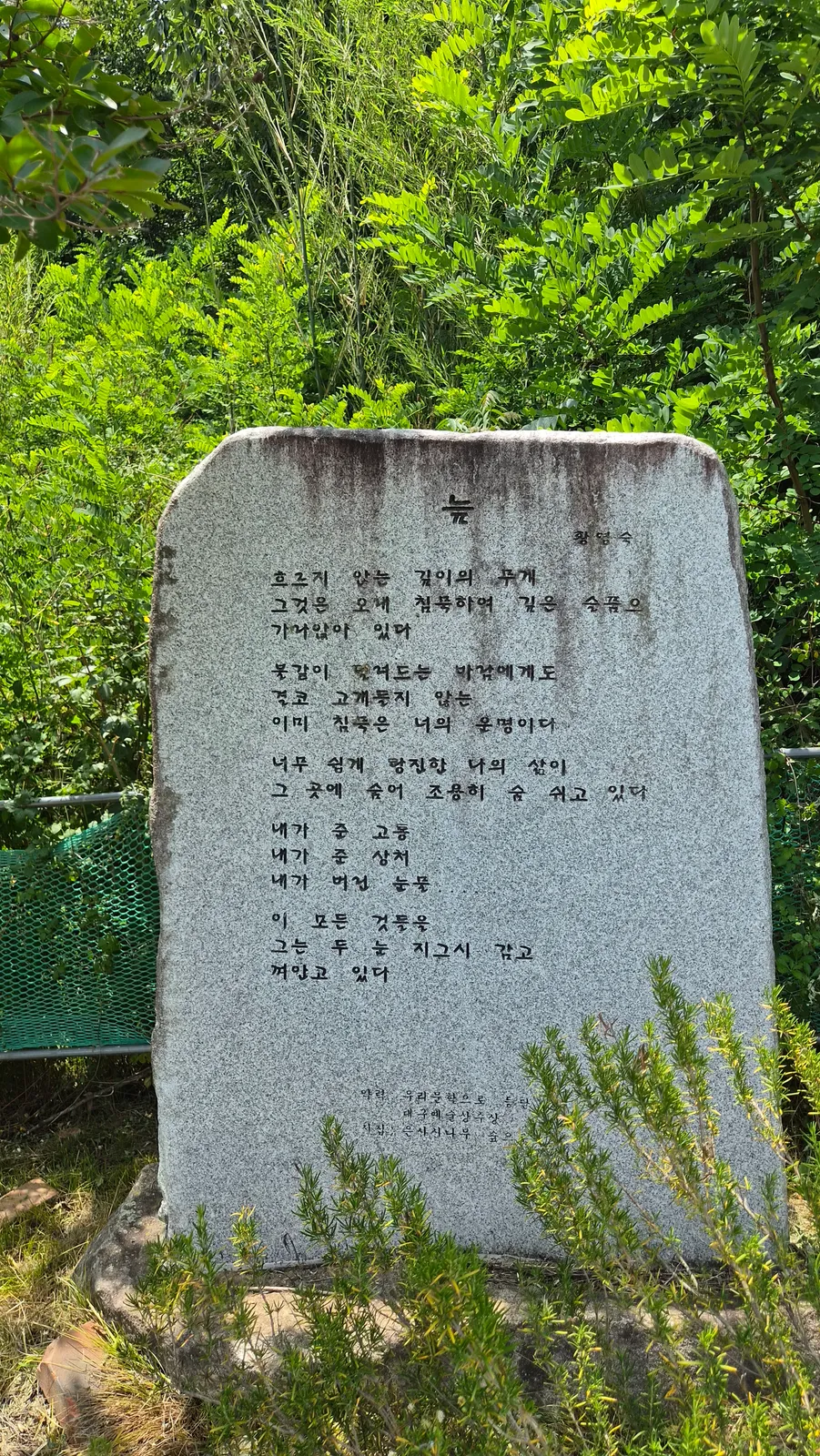늪 황영숙
