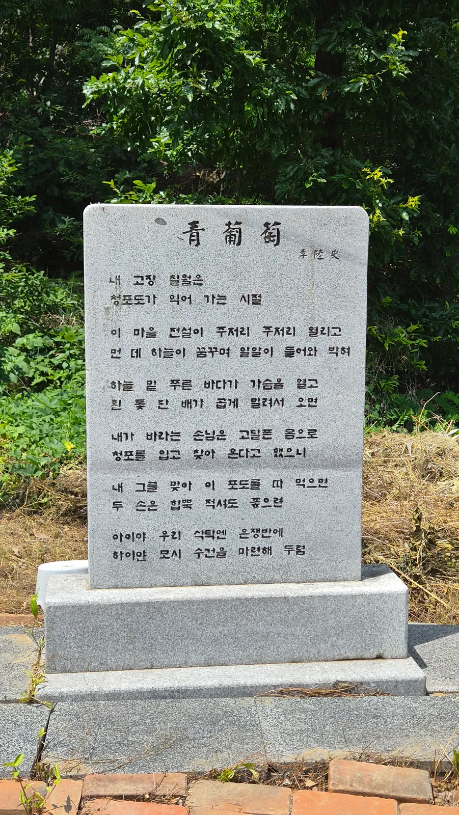 청포도 이육사
