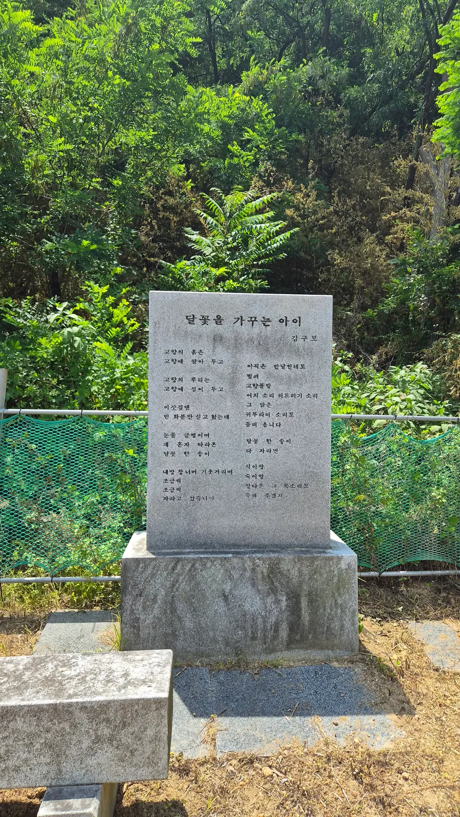 달꽃을 가꾸는 아이 김구보