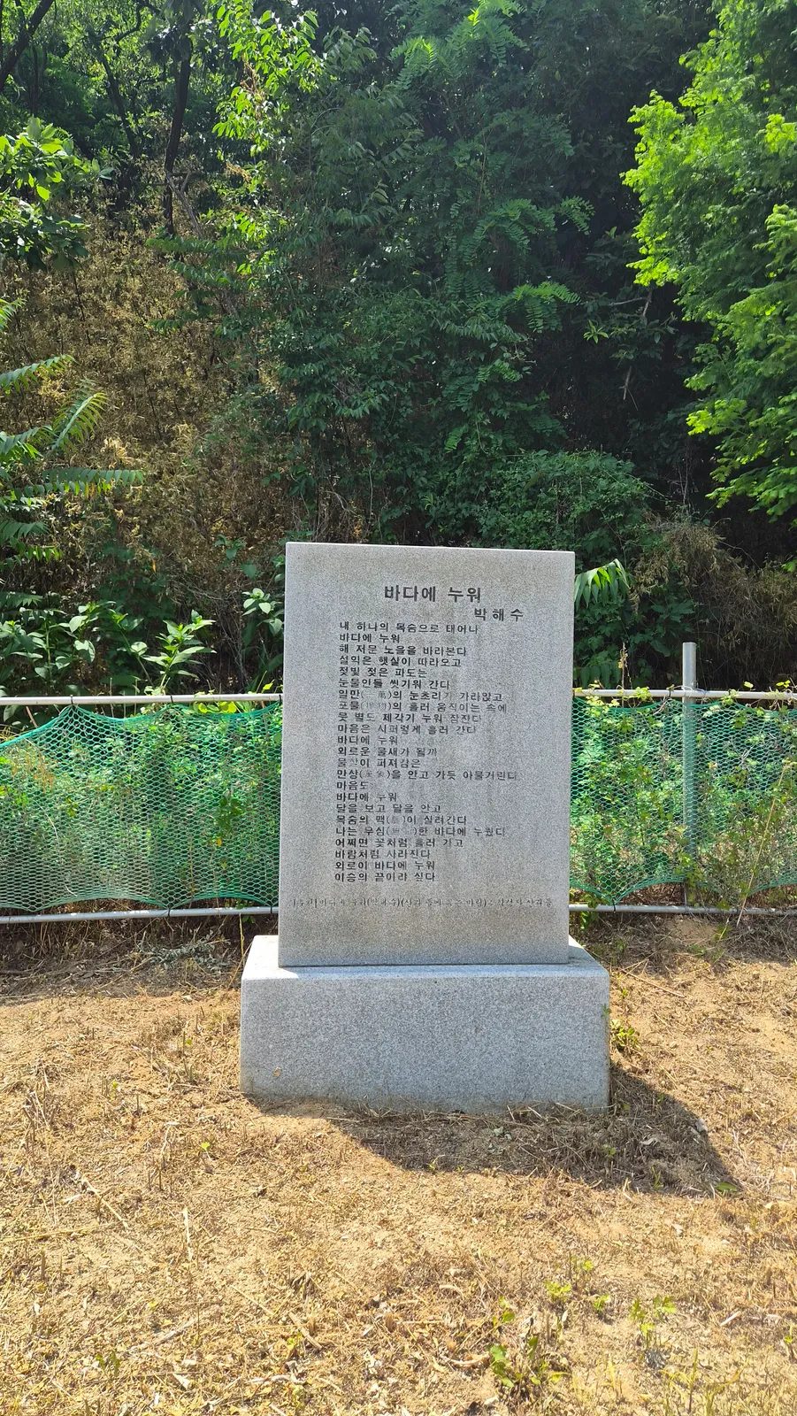 바다에 누워 박해수